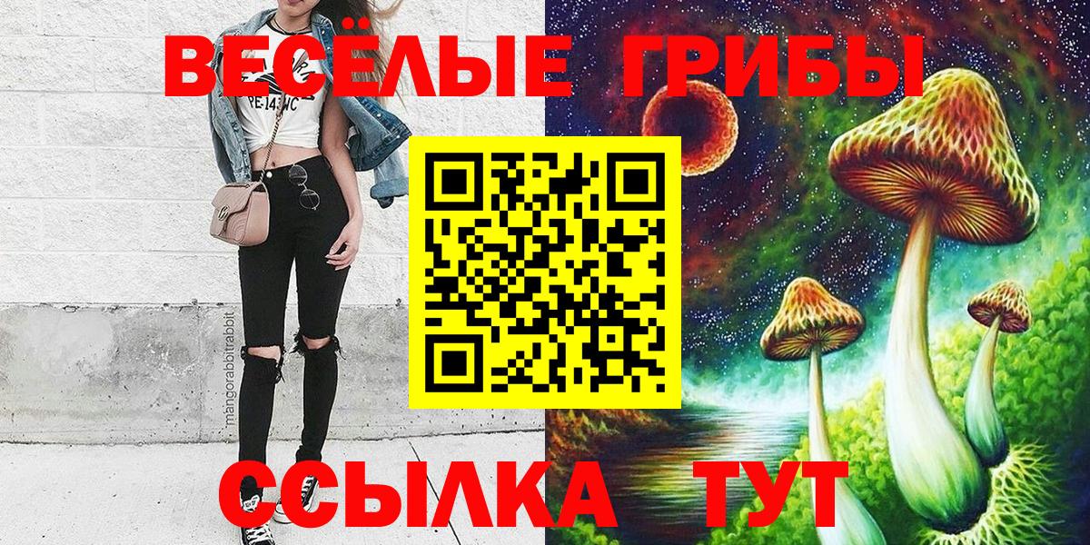 Псилоцибиновые грибы ЛСД Ефремов